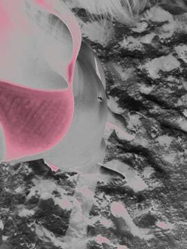 Public Photo of Love1982