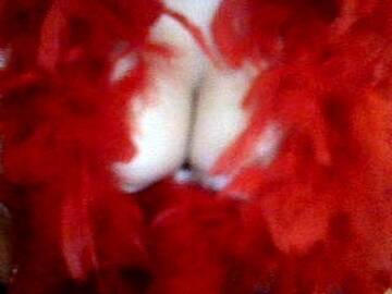 Foto publica di chantal_23