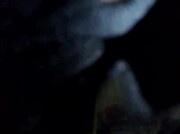 Amateur Video of Desex